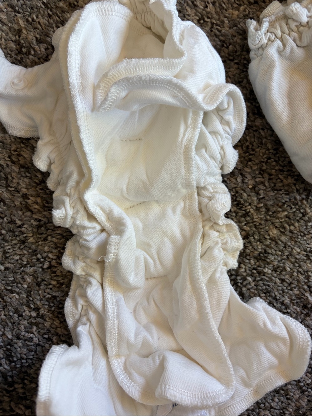 Cloth Diaper lot -  Esembly and others with inserts and  Coverss - Picture 7 of 10